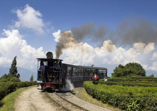 Happy family enjoying the Darjeeling Toy Train ride with green tea gardens in the background.