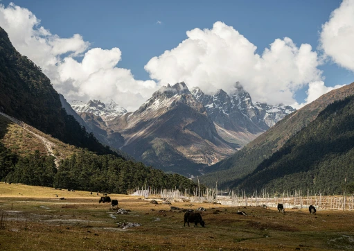 A luxury travel SUV driving through the snow-capped mountains of Lachen toward Gurudongmar Lake.